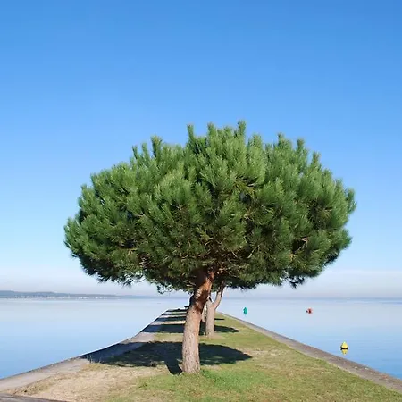 Camping De Maubuisson キャンプ場 *